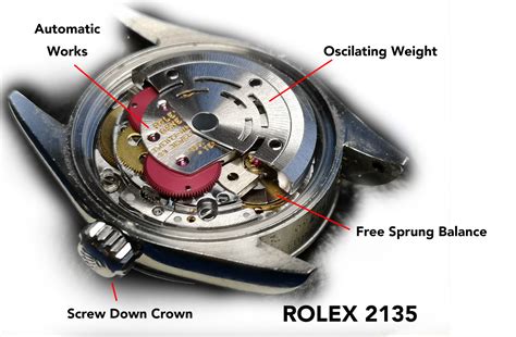 rolex 2135 hand size|rolex movement chart.